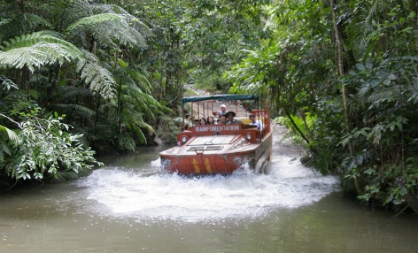 レインフォレステーション入場チケット